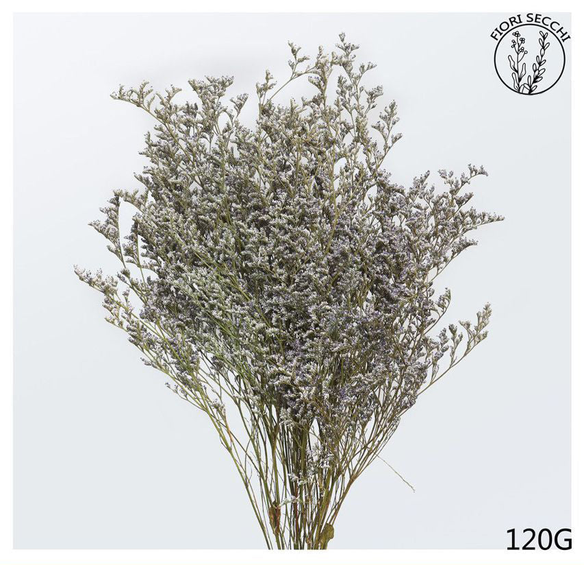 Mazzetto di caspia naturale 70-75cm 120g