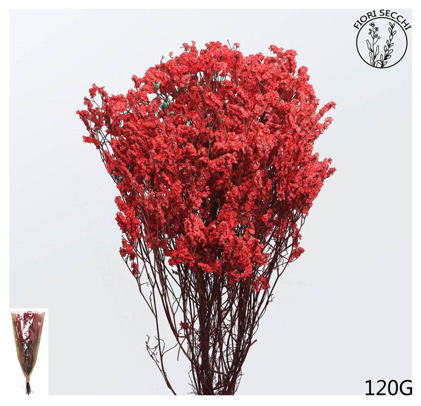 Mazzetto di stoebe rosso 65-70cm 120gr