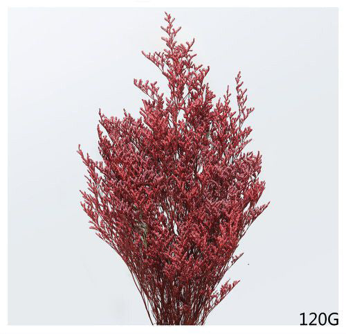 Mazzetto di caspia rossa 70-75cm 120g