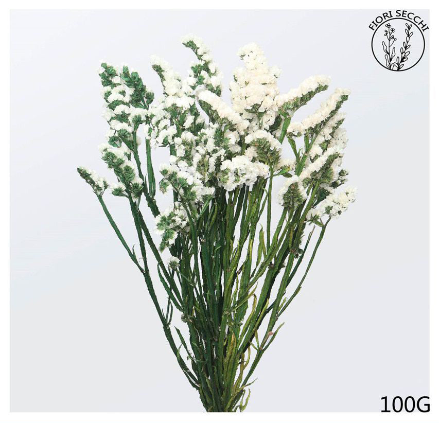 Mazzetto di statice sinuata bianca 60-65cm 100gr