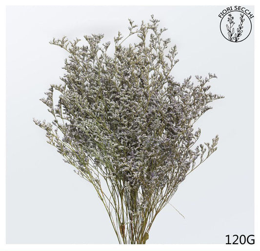 Mazzetto di caspia naturale 70-75cm 120g