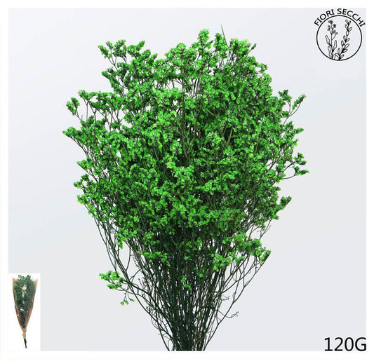 Mazzetto di stoebe verde 65-70cm 120gr