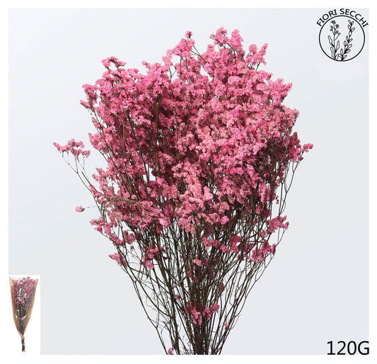 Mazzetto di stoebe rosa 65-70cm 120gr