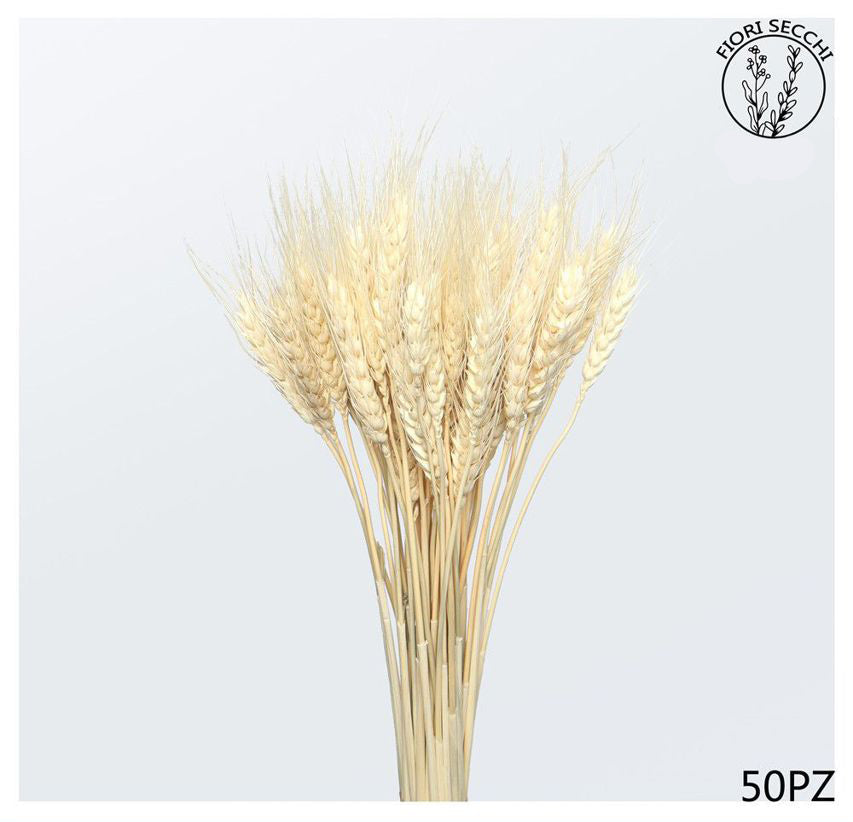 Mazzetto di spighe 60-75cm 50pz