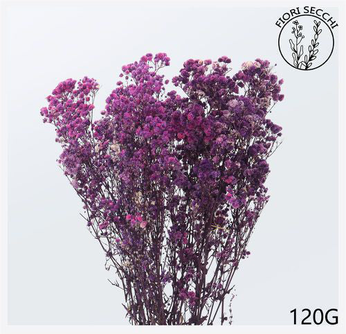 Mazzetto di gipsofila 70-75cm 120gr