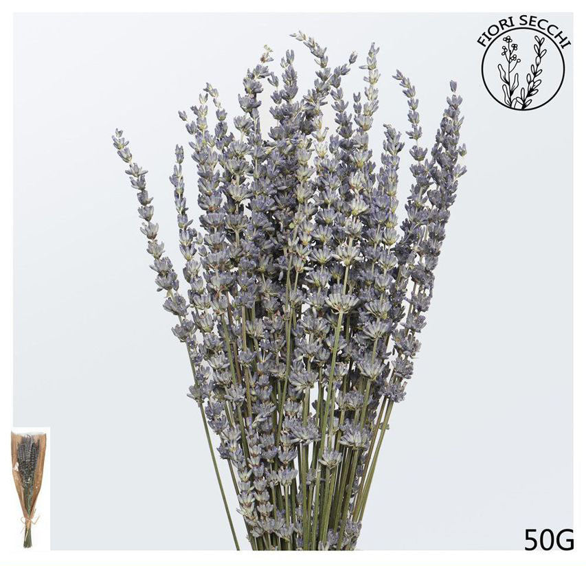 Mazzetto di lavanda 55cm 50gr