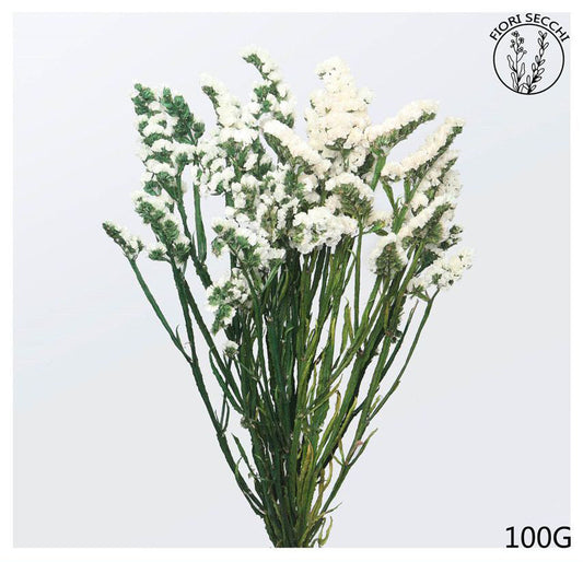 Mazzetto di statice sinuata bianca 60-65cm 100gr