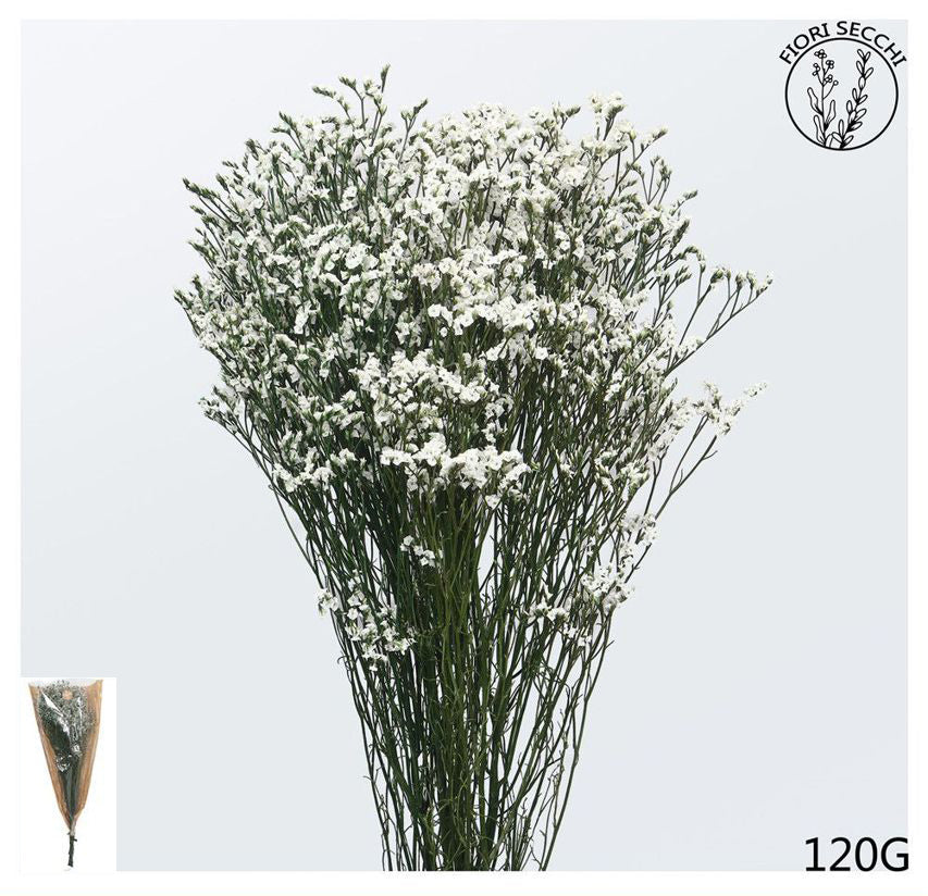 Mazzetto di stoebe bianco 65-70cm 120gr