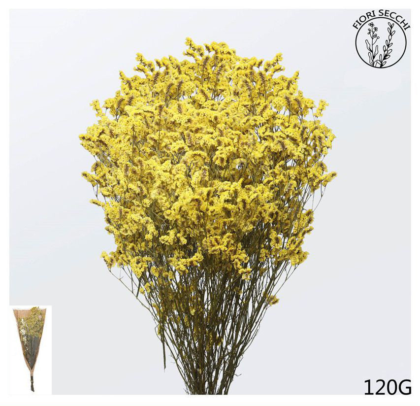 Mazzetto di stoebe giallo 65-70cm 120gr